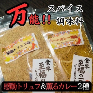 《感動スパイス2種セット送料無料》キャンプで自慢したくなるトリュフ味とカレー味をセットで！