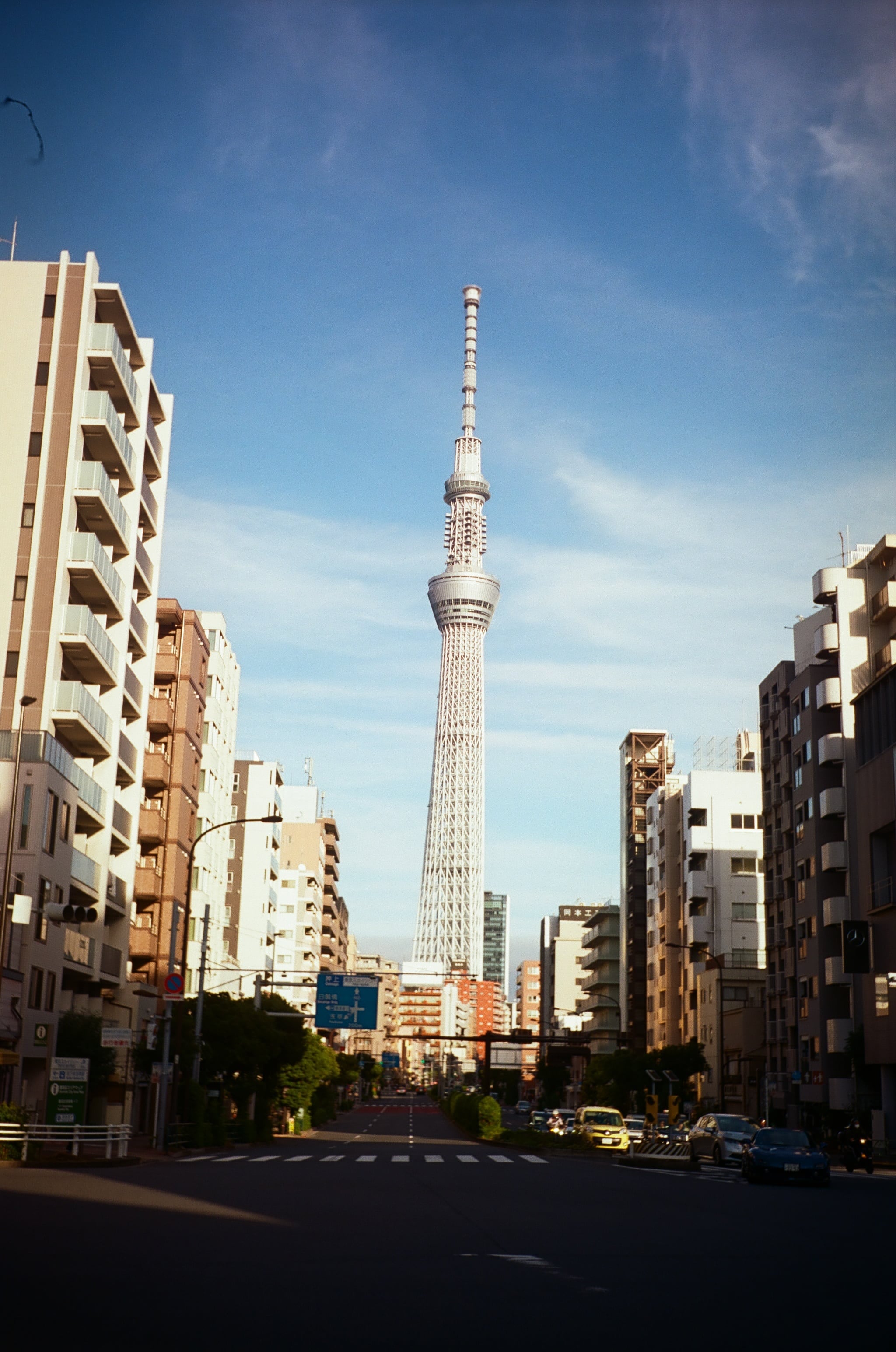 作例あり】OLYMPUS TRIP35 / D.Zuiko 40mm F2.8 整備済 ネガフィルム付
