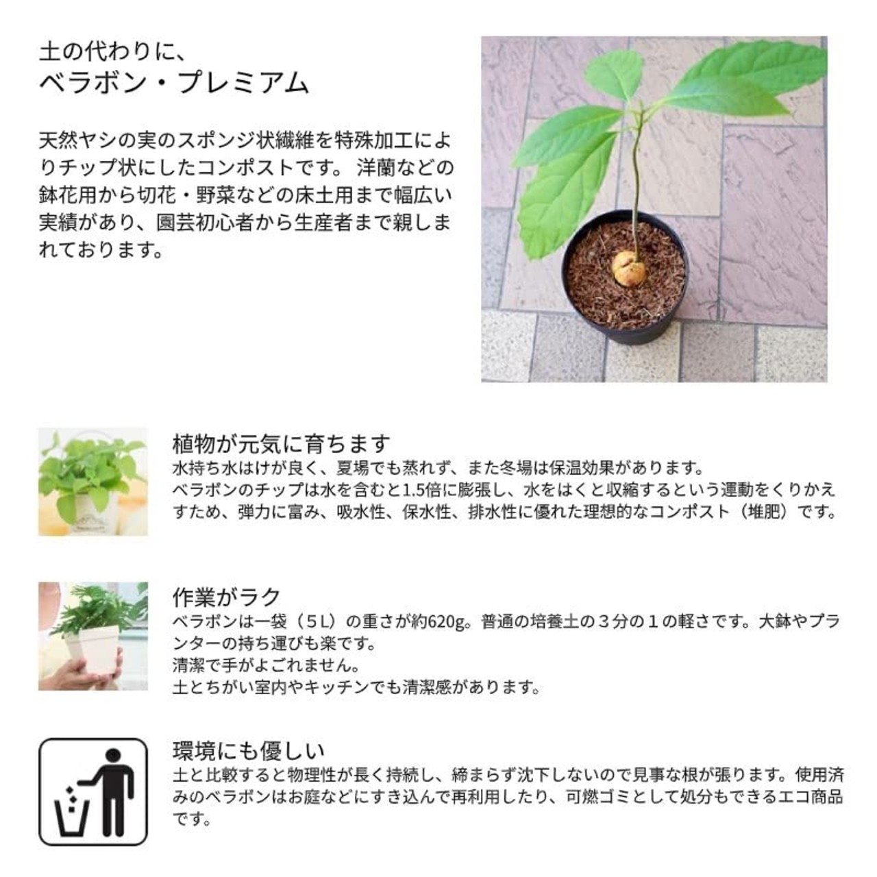 FUJICK(フジック) ベラボン・プレミアム 5L