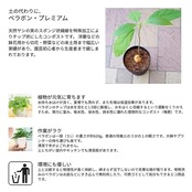 FUJICK(フジック) ベラボン・プレミアム 5L