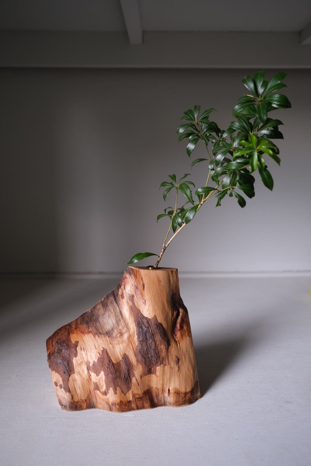 木塊 一輪挿し -大王松- | TORINOKI FURNITURE