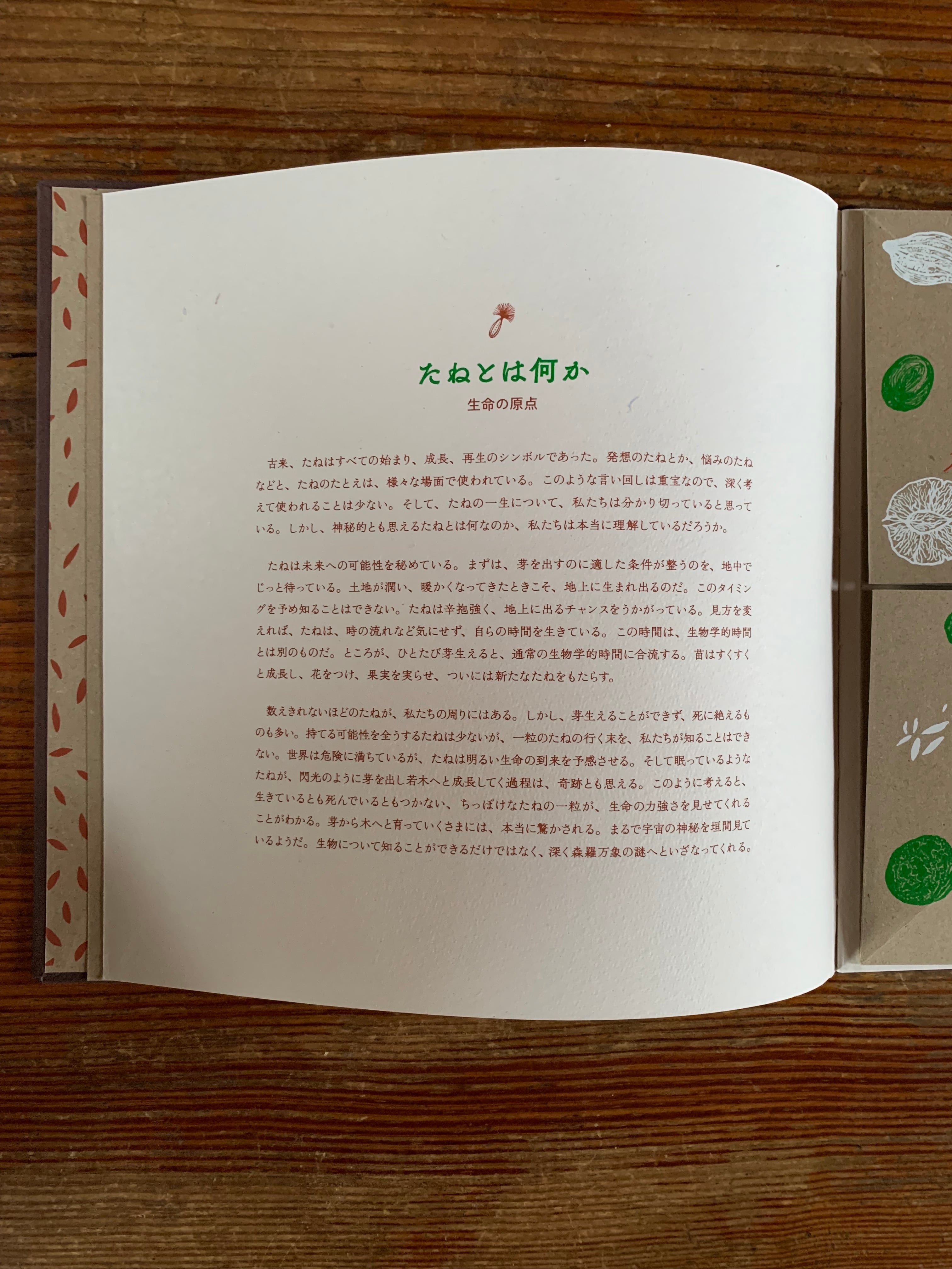 たね』 | STANDARD BOOKSTORE