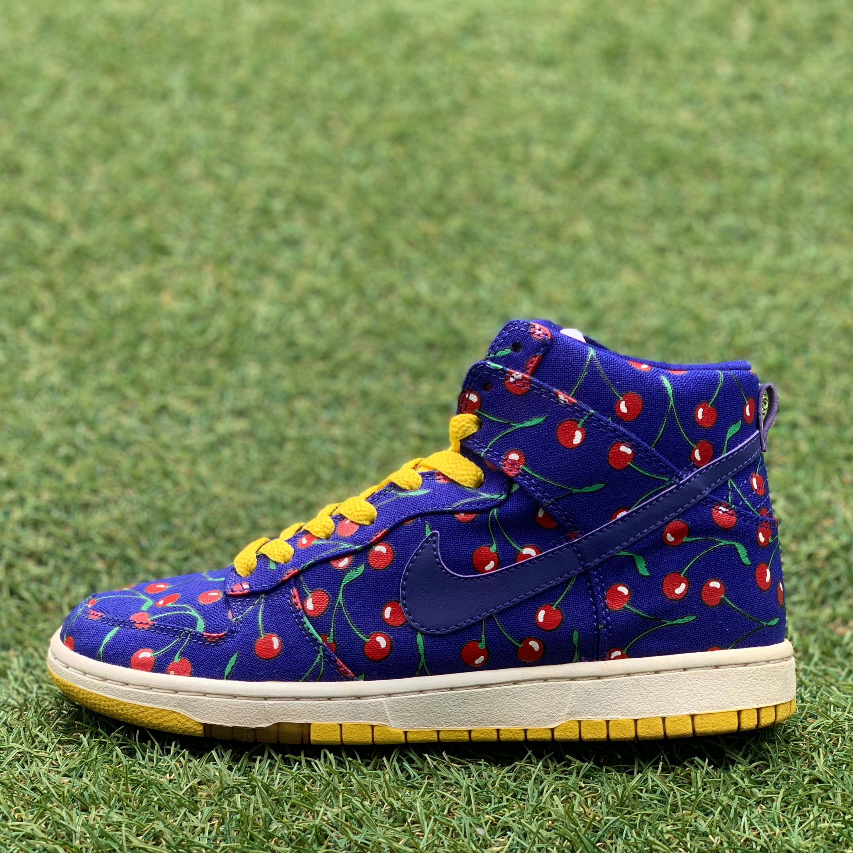 NIKE DUNK HI SKINNY ナイキ ダンク ハイ スキニー E572