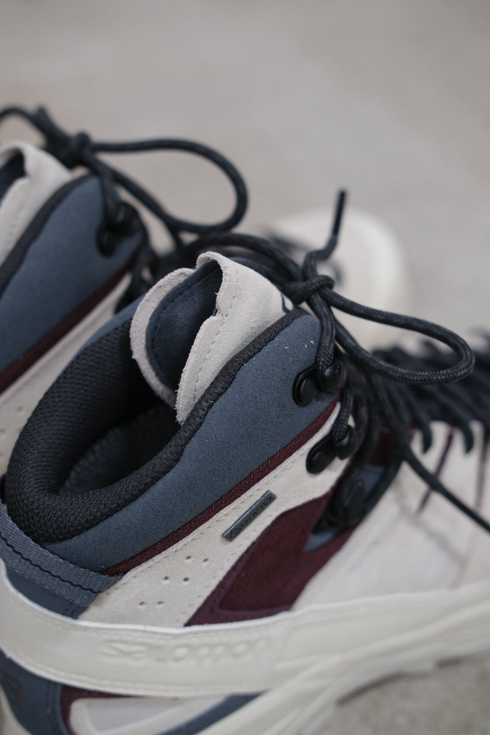 salomon】X-ALP MID LTR GTX - almond milk/catawba grape/turbulence