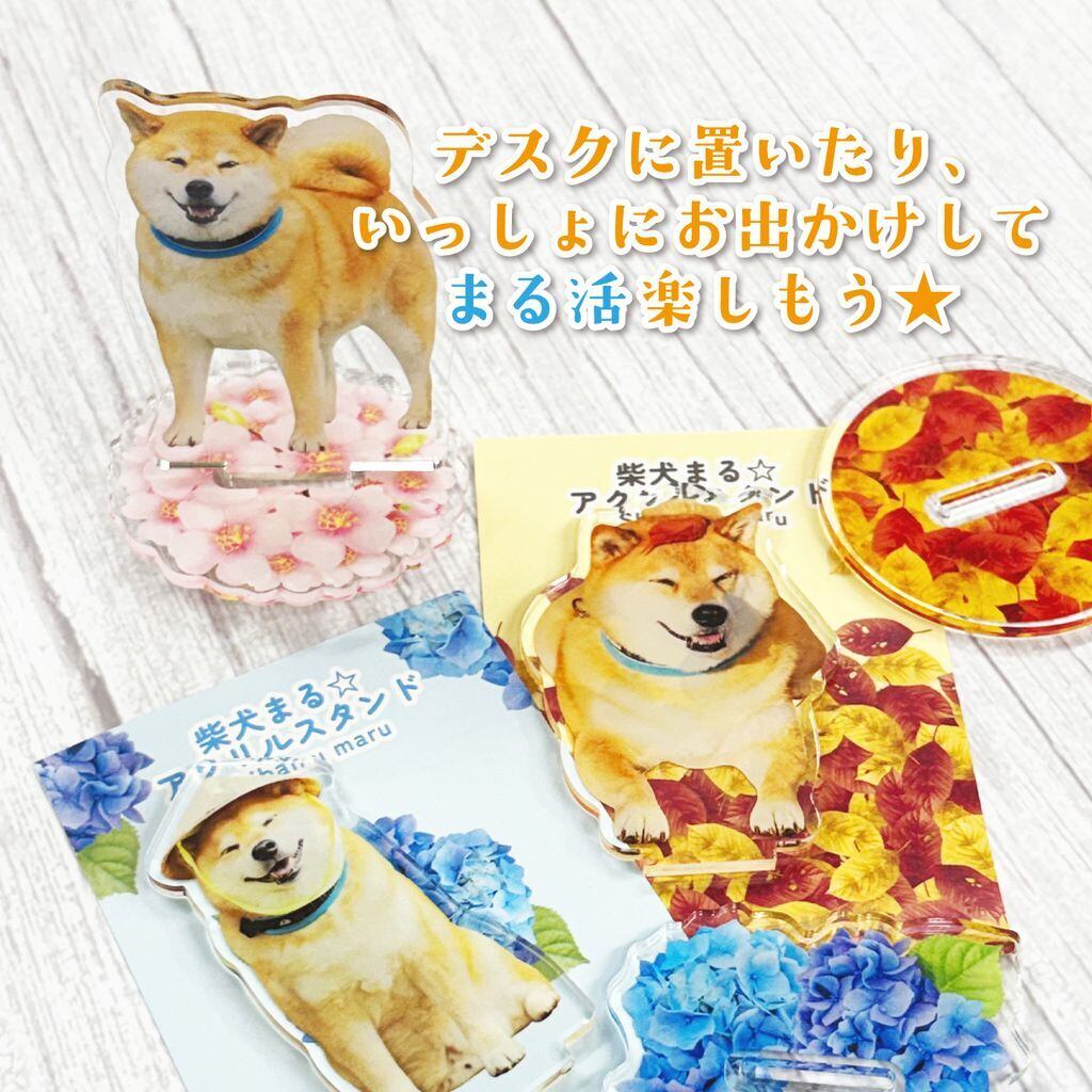 柴犬まる☆アクリルスタンド | marutaroshop