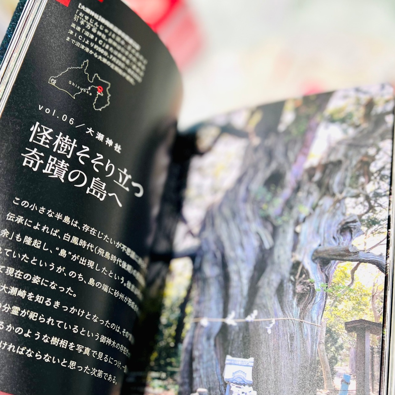 異界神社　ニッポンの奥宮