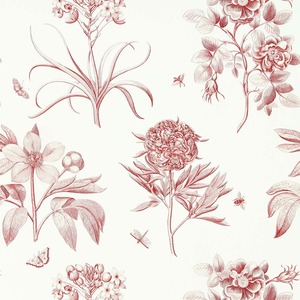 輸入壁紙【Sanderson(サンダーソン)】Etchings & Roses 217054/MANAS