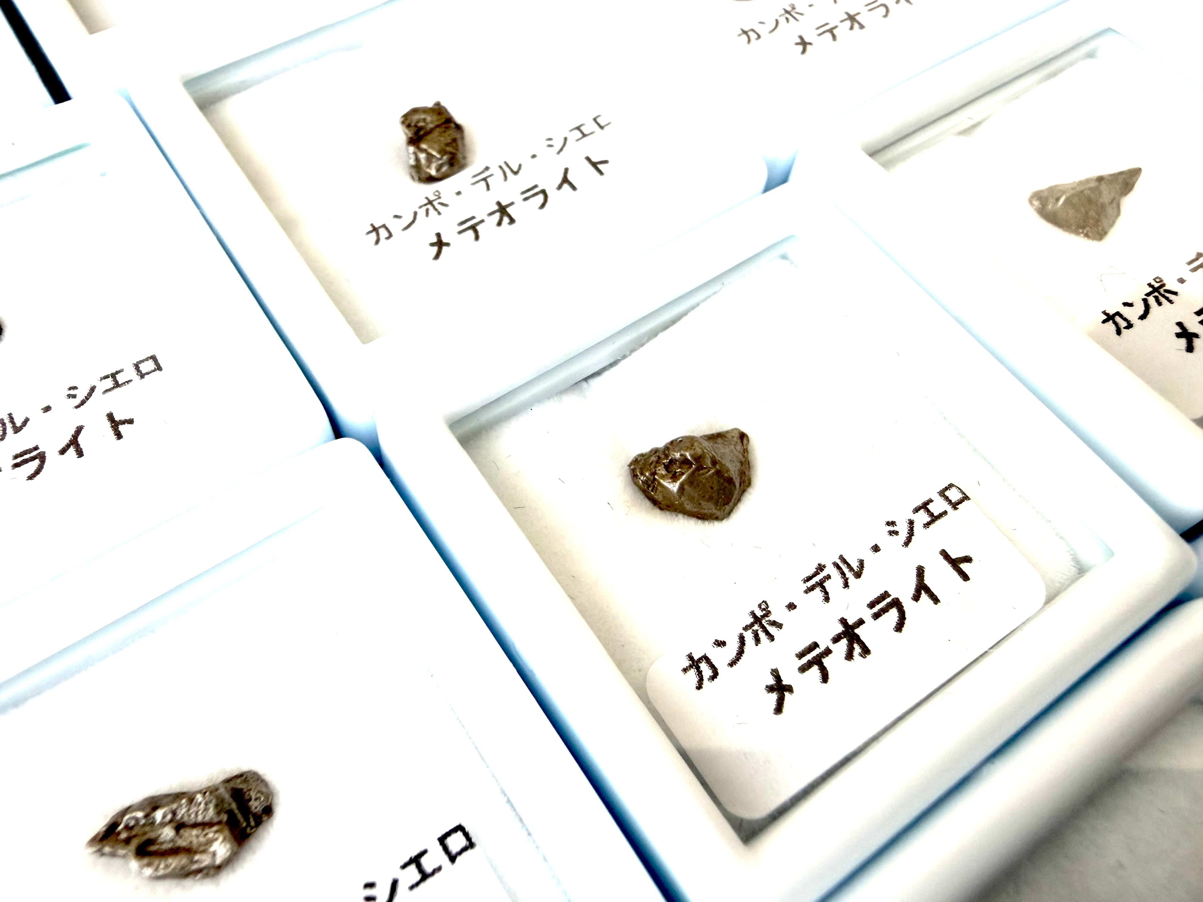 本日販売分再入荷‼️】カンポ•デル•シエロ隕石（メテオライト）BOX［No