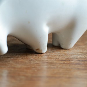 暴れ牛を必死で操る少年