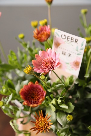 【H 様 専用】花苗