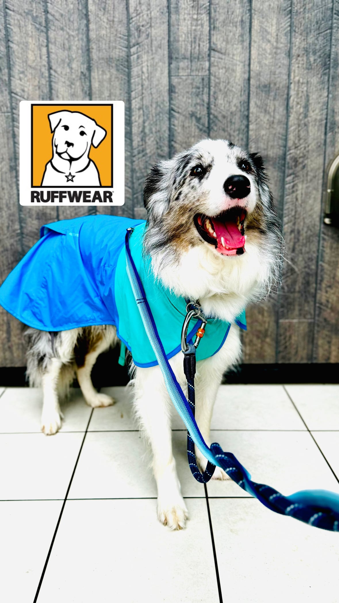 a1c10d5e587d30cfccfd671e1dfac2