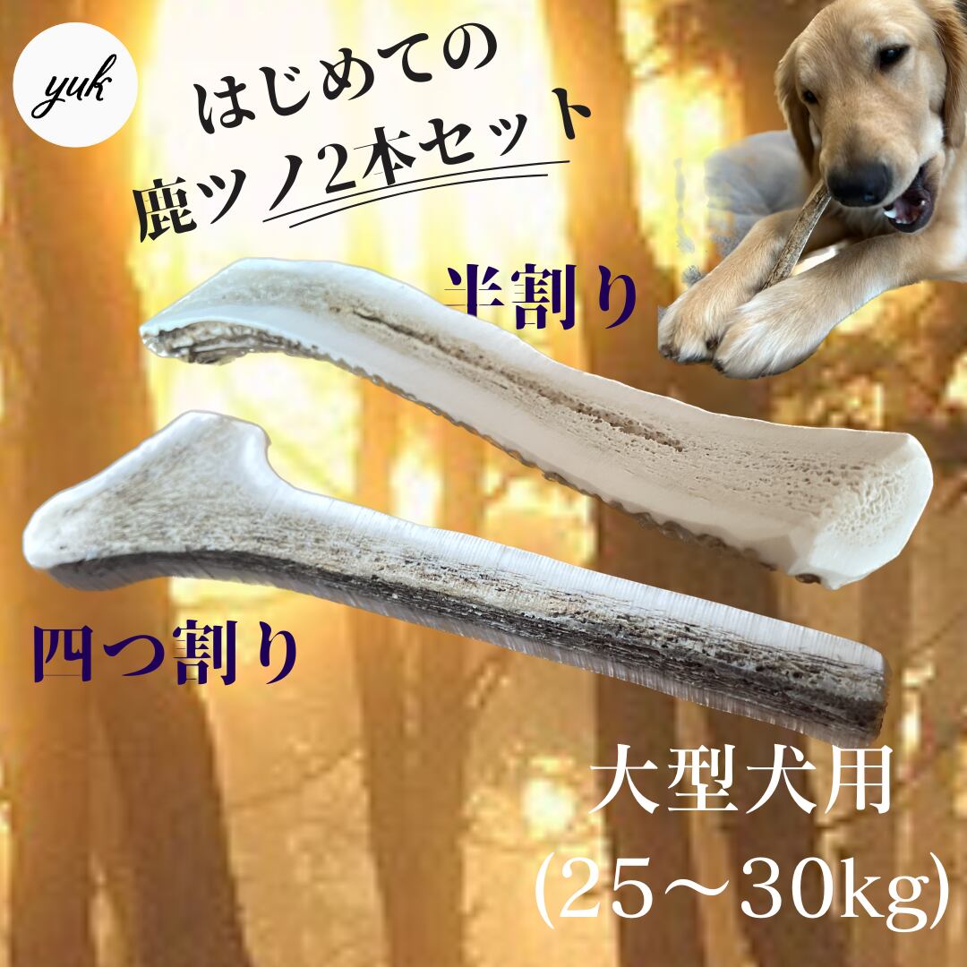 四つ割り&半割り 2本セット　大型犬用　蝦夷鹿のツノ　ワンちゃん用オモチャ　ドッグガム　鹿角　 | yuk powered by BASE