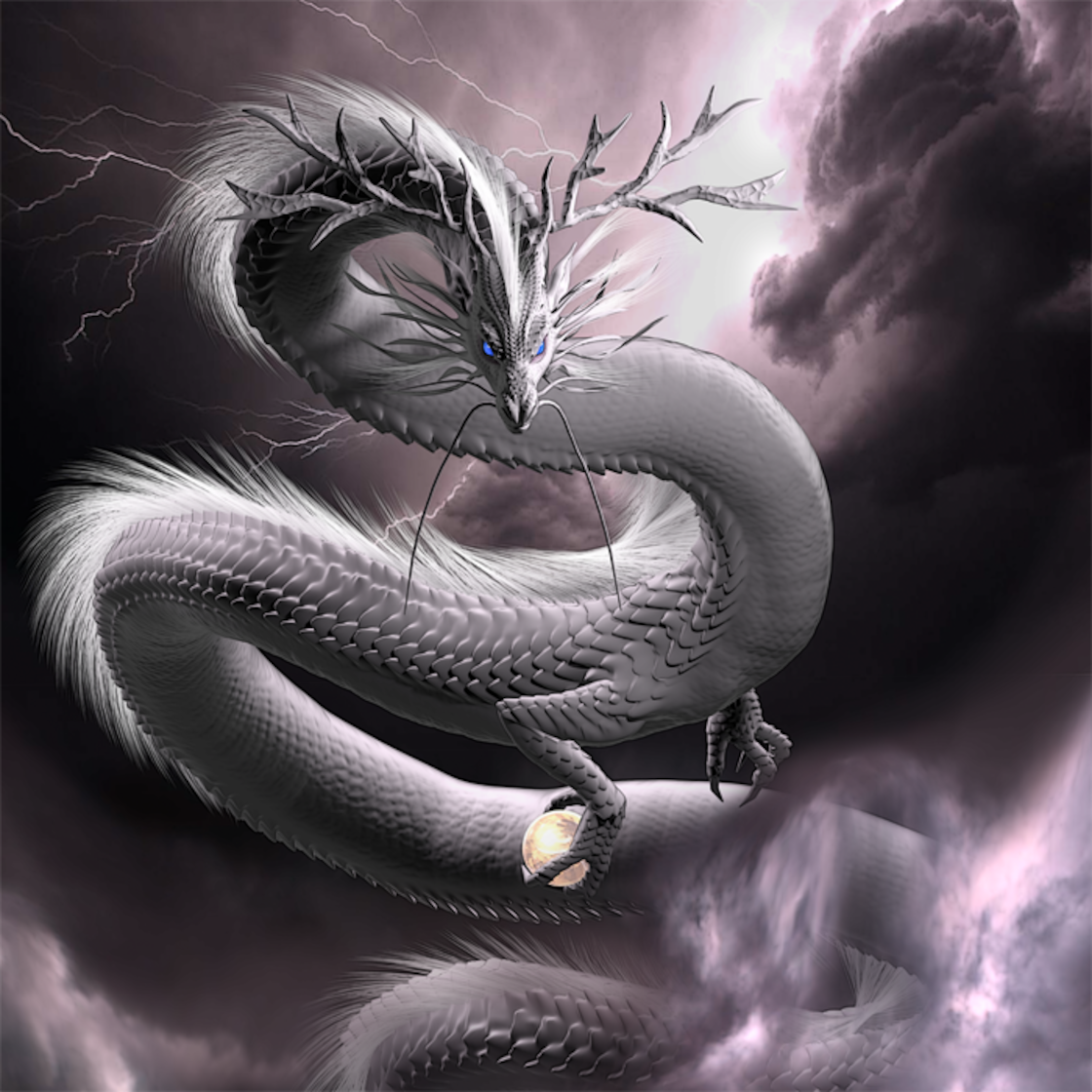 龍の絵「白龍3（暗め）」A4 | PAY ID