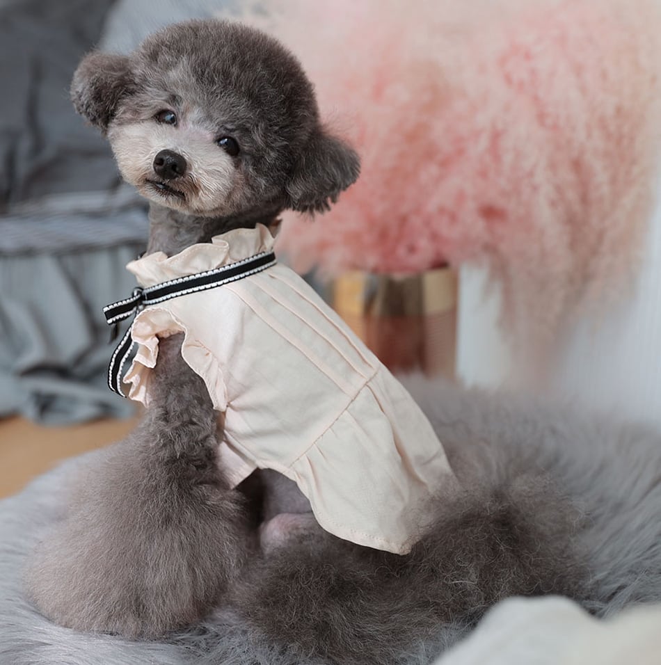 tint frill blouses / 犬服 ドッグウェア 犬の服 シャツ ワンちゃん ペット洋服 無地 犬 小型犬 中型犬 フリル ブラウス 綿 シンプル ベージュ 夏 袖なし 涼しい top125
