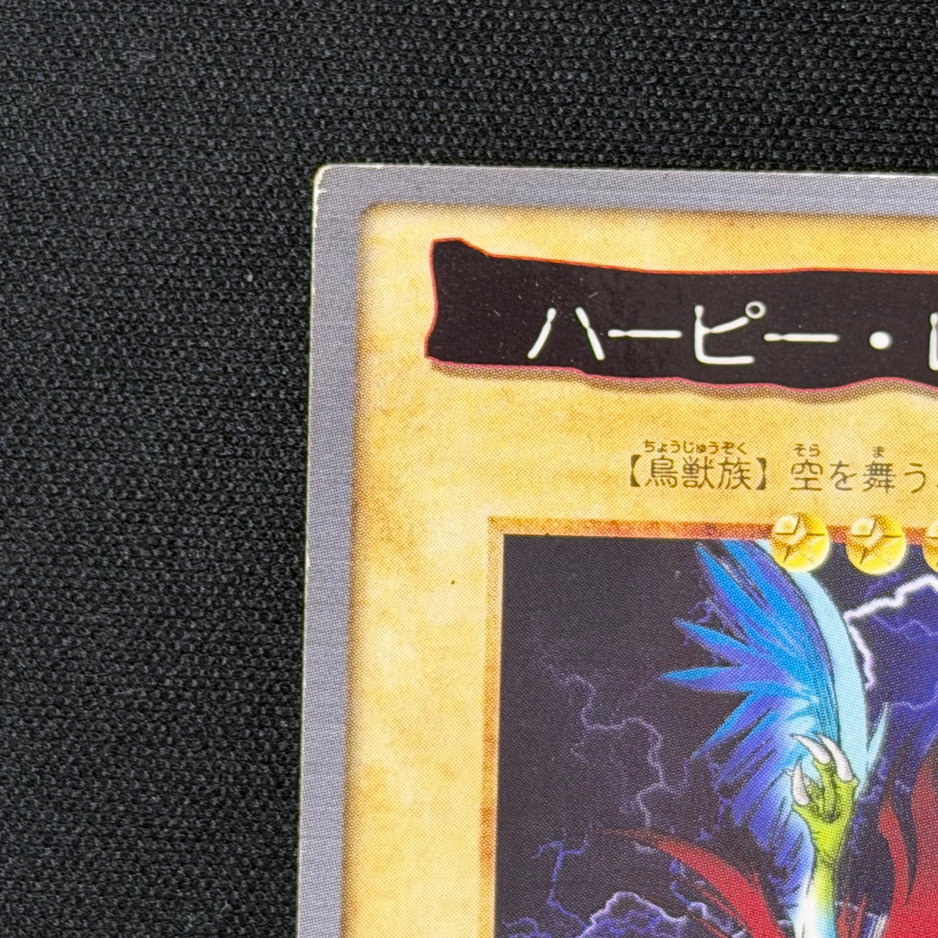 遊戯王 バンダイ版 ハーピー・レディ1 ネームエラー | トレカ専門店