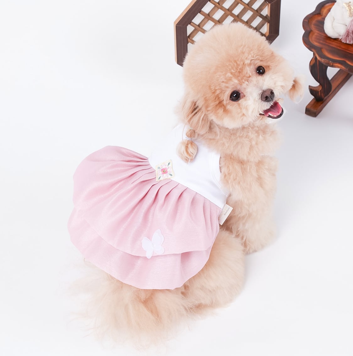 予約【ritogato】Dohwa Daily Princess Hanbok