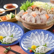 【全国送料無料】ふぐざんまい（刺身・ちり）ー約2人前ー《冷凍便》DC-SL