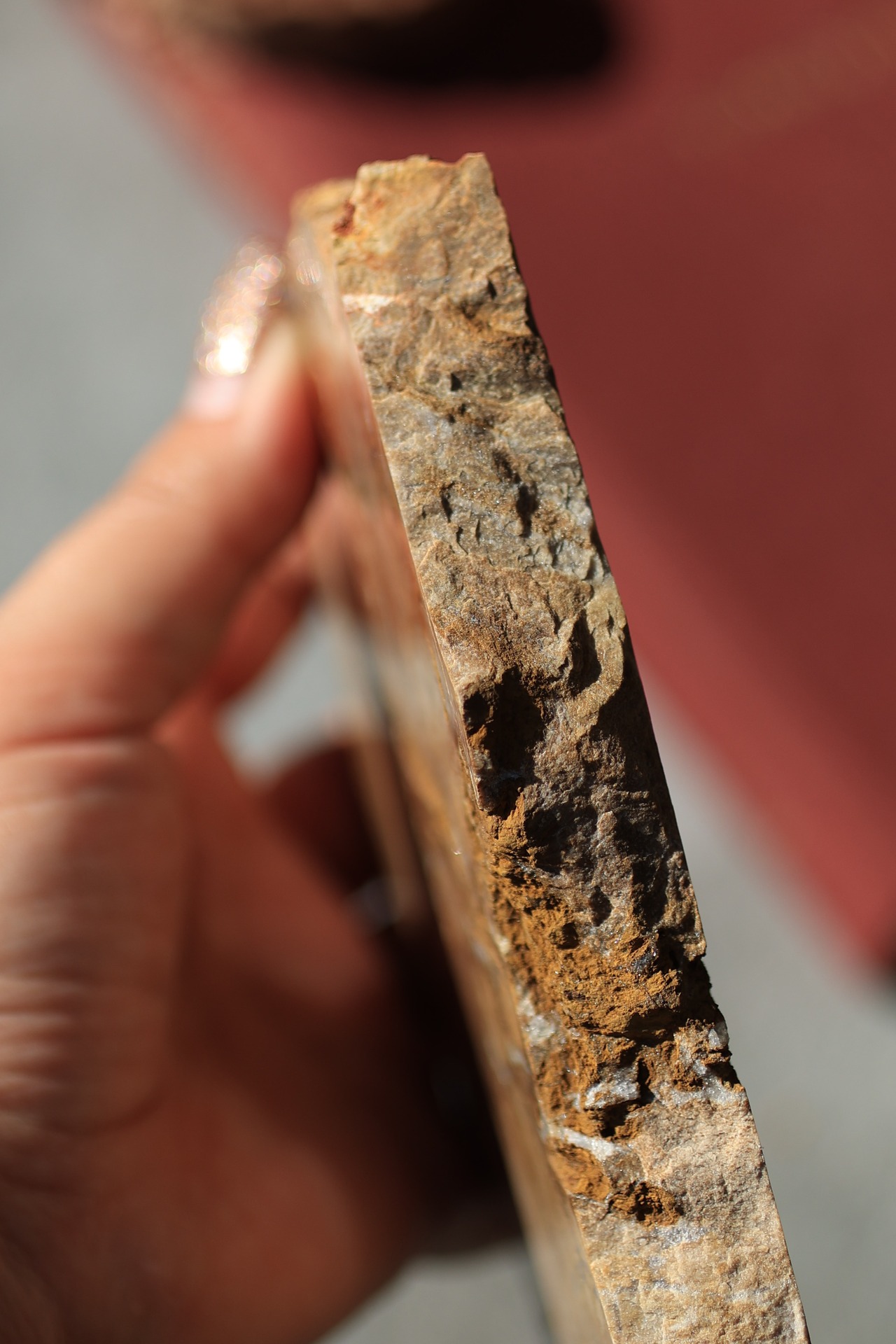 ペトリファイドウッド プレート |  Petrified Wood Plate ◇ 天然石・鉱物・パワーストーン | st00408