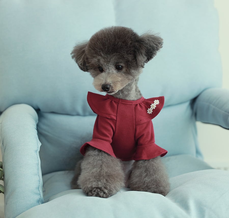 purina t-shirt S ~ XL 4color  /  犬服 秋冬 Tシャツ ブラウス 上品 可愛い ワンコ服 ストレッチ 犬の服 長袖 無地 ドッグウェア フリル シンプル ニット お揃い ハイネック 韓国ワンコ服 小型犬 中型犬