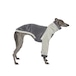 BONDIR Grays Corduroy Sweater for Sighthounds XS-M