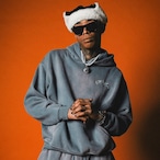 OG SMALL LOGO PIGMENT HOODIE