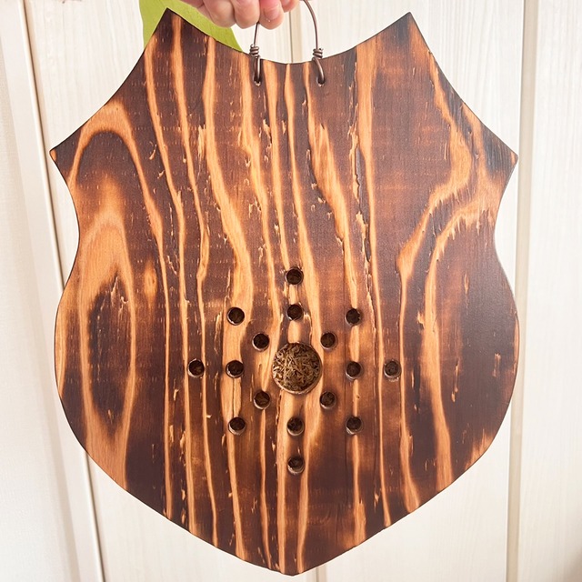 ビカクシダ ネザーランド 大サイズ 板付 【観葉植物 室内 コウモリラン】