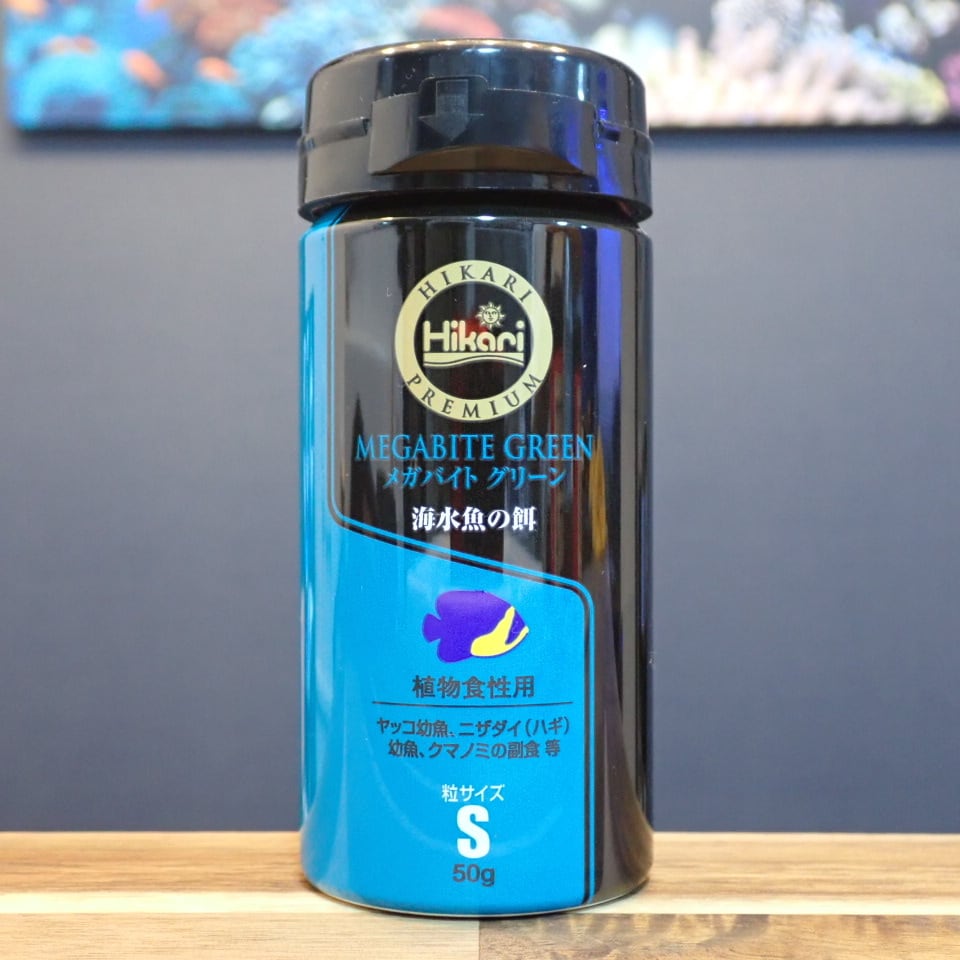 海水魚用品 cote 楽天市場】テトラ 金魚・メダカのらくらくアクア L 幅39