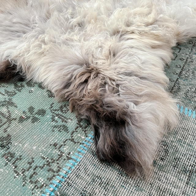 ポーランド ムートンラグ MO003 | ナチュラル シープスキン | 90cm × 130cm