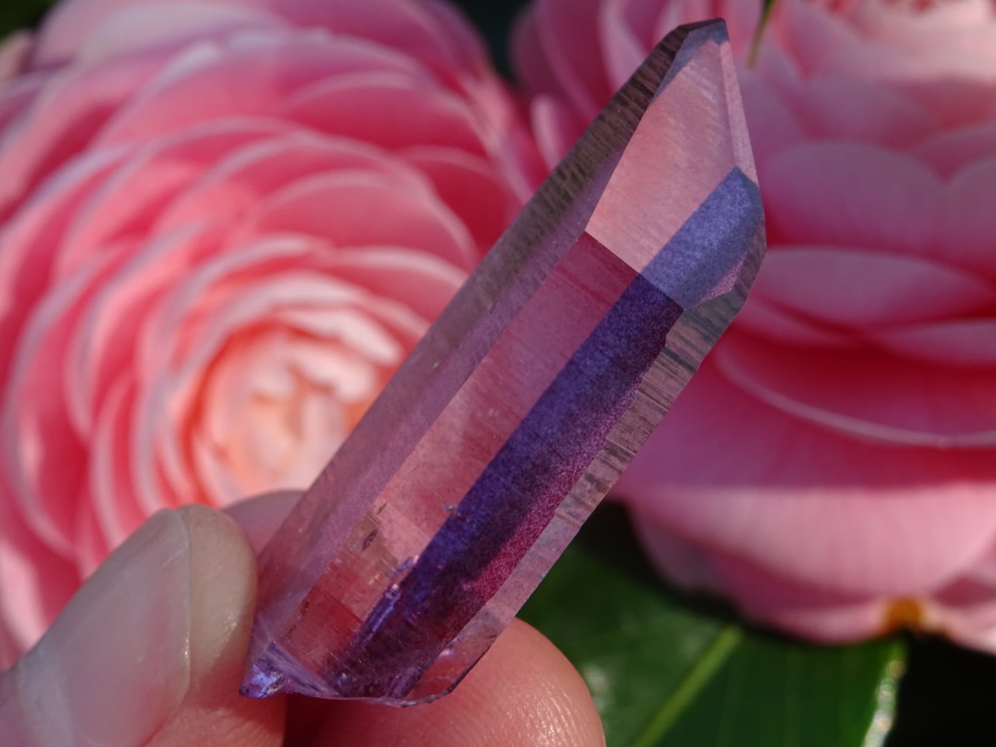 パープルオーラ・クリスタル ~Flower Aura~