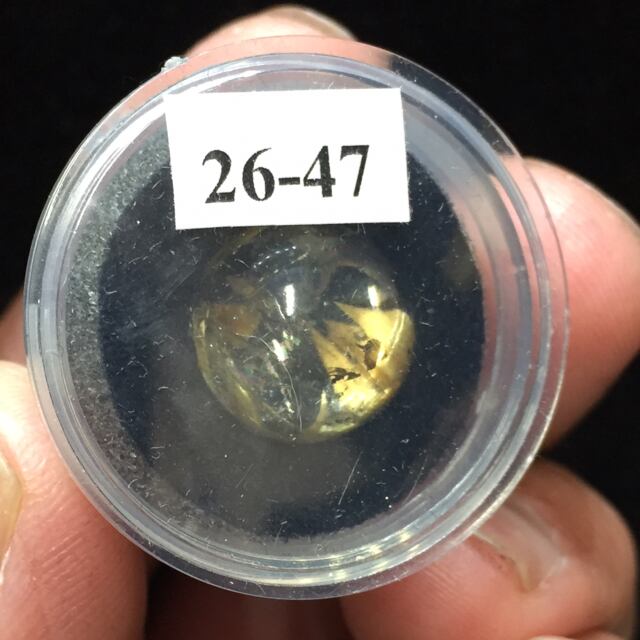 83) ゴールドルチルクオーツ(メロディ・コレクション)