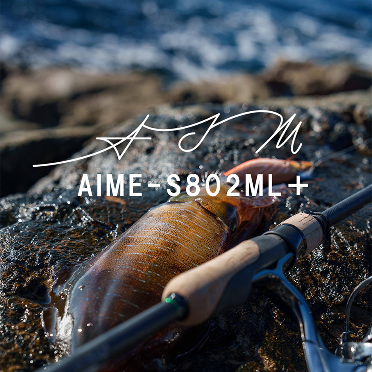 会員限定】AIM （エイム） AIME-S802ML＋ | オクマゼニス公式