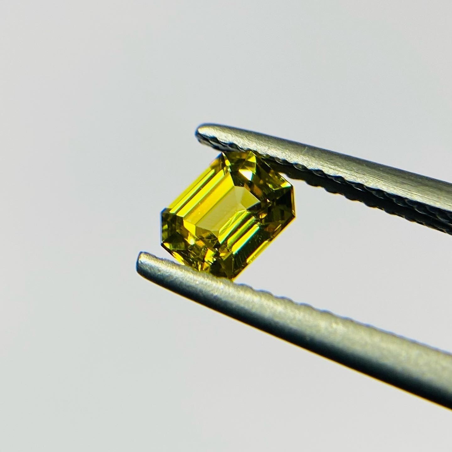 冬もビタミンカラー全開！マリガーネット