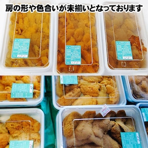 青森県 津軽海峡産 生うに 100ｇ ミョウバン不使用