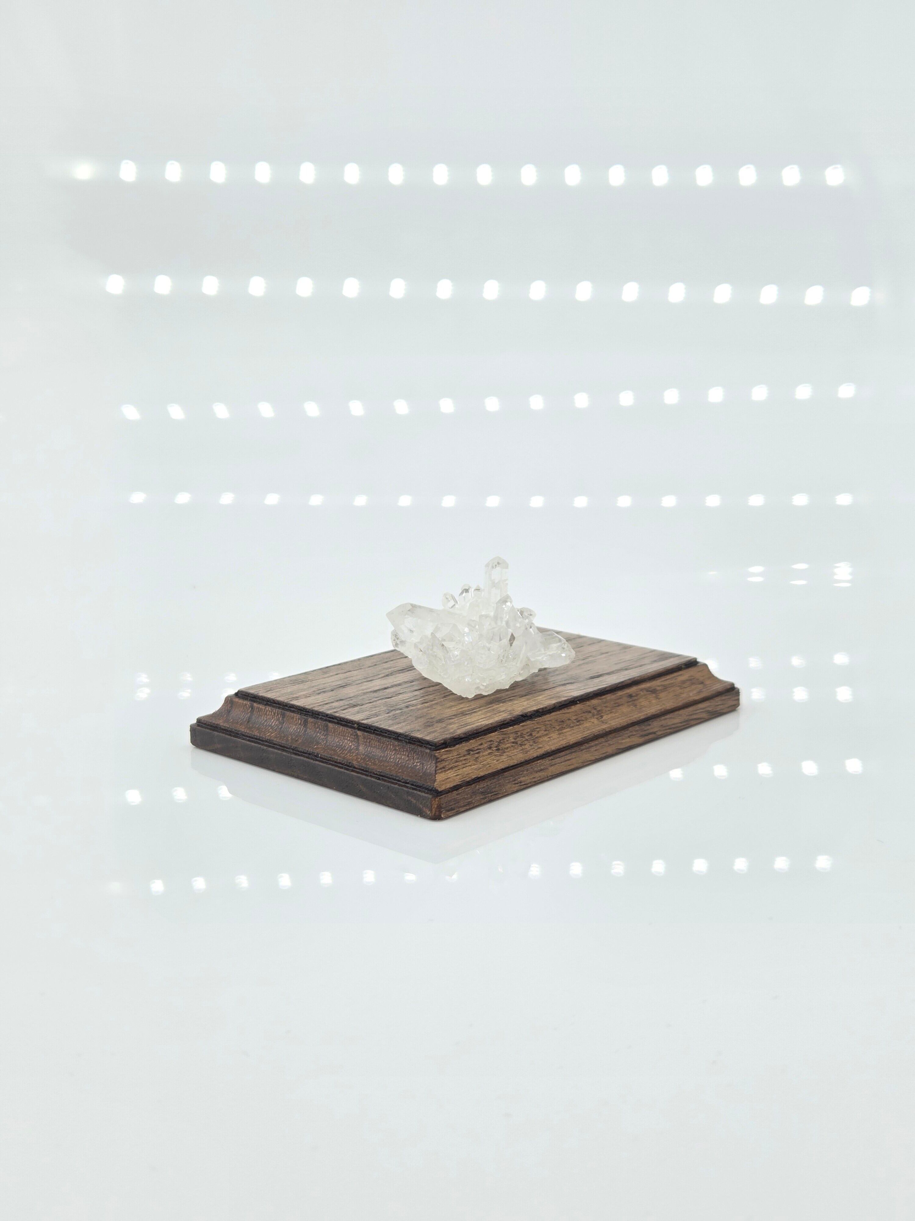 育てるジュエリーボックス、蓋無しワイド、本体のみ | DAKAO インテリア