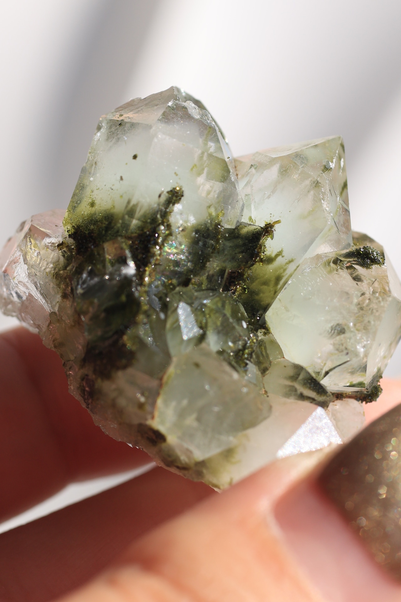 エピドート「溢れる艶めき」Epidote|天然石 原石 鉱物 パワーストーン | EP-A-003