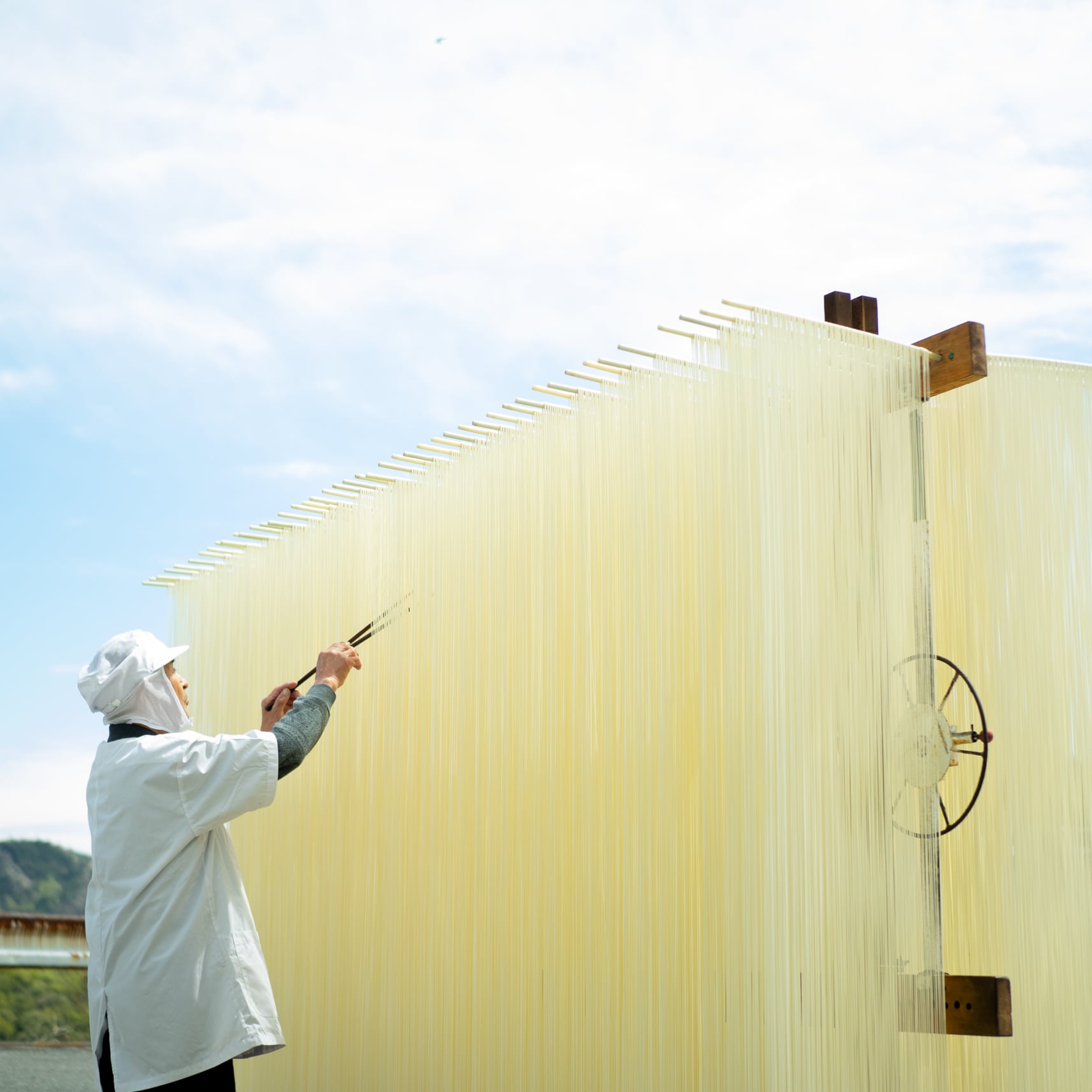 小豆島手延べそうめん 5束入（50g×5） | 素麺(そうめん) お取り寄せ