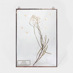 Botanical Frame L012 - Gold