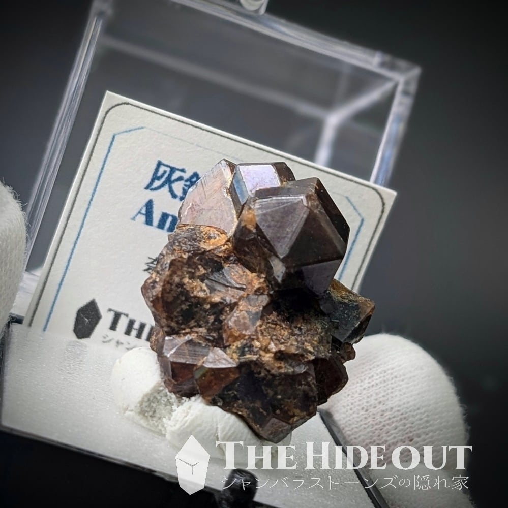 ✨️究極レア!!!　イブナ隕石標本 GW限定割引✨️究極レア!!! イブナ隕石標本 NWA 未分類 石質隕石 819
