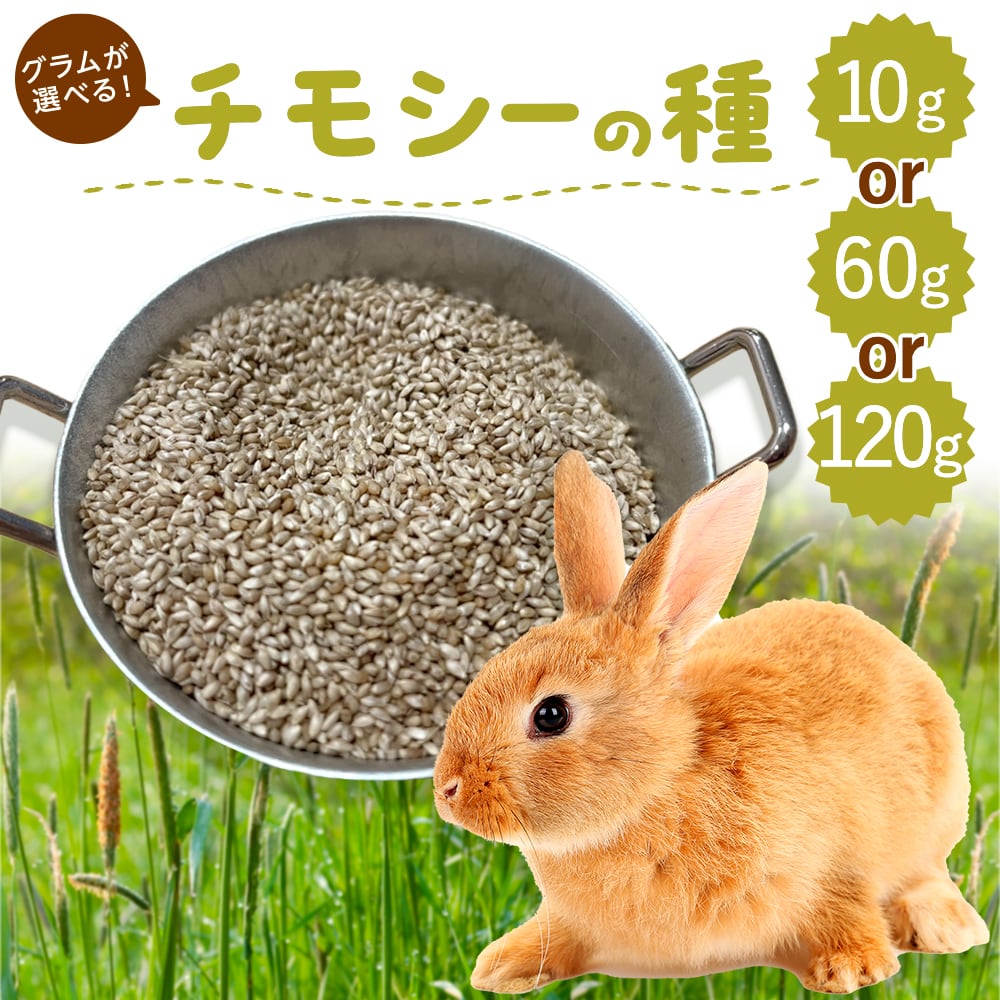 おやつ・牧草種 | うさぎの牧草チモシーもふぱふぇofficial おやつ・牧草種 | うさぎの牧草チモシーもふぱふぇofficial