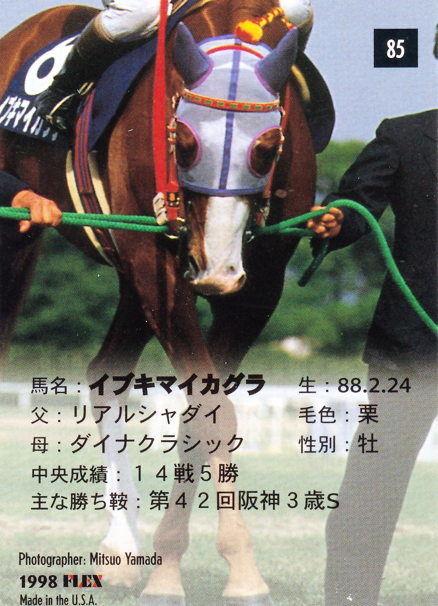 イブキマイカグラ(TRIUMPH)「The Classic 1998」No.85 | カード