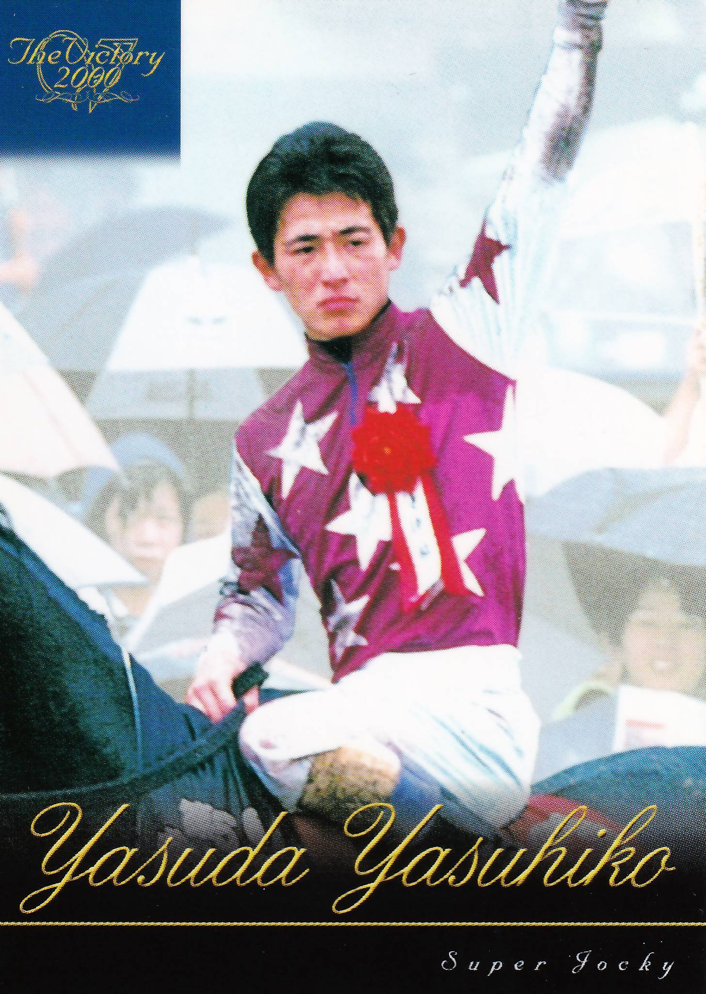競馬 The Victory 2000 超貴重カードファイル 〔バラは説明⬇〕 The