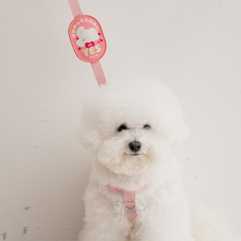 【BITE ME】お散歩メッセージワッペン [SHY] ワンちゃんの気持ち、このワッペンが代弁します！