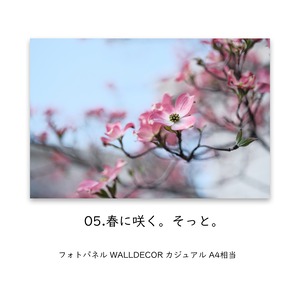 パネル : 05.春に咲く。そっと。