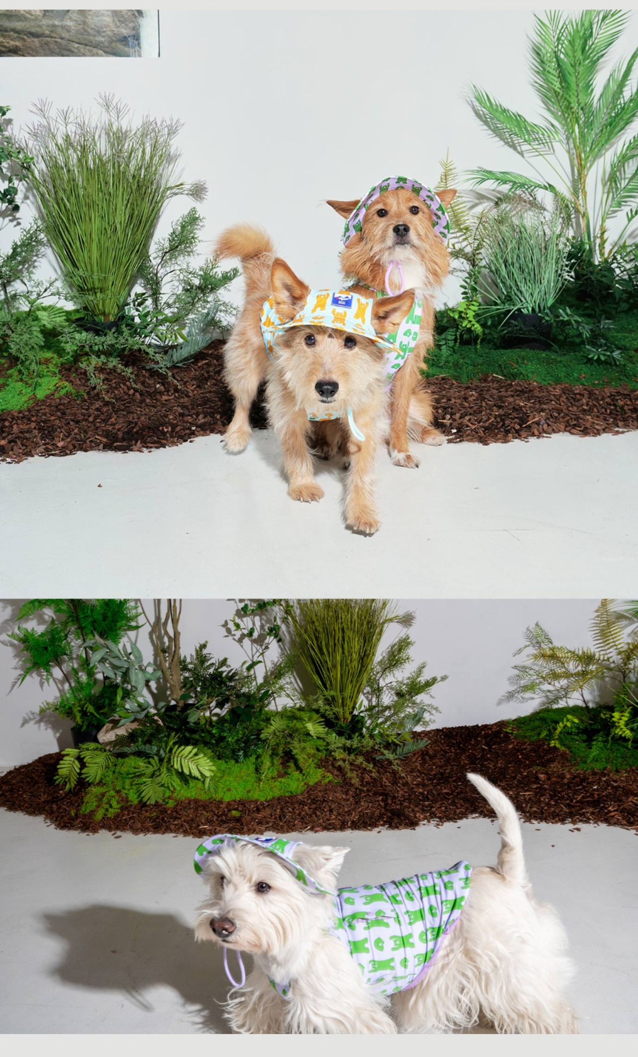 【PUPPYGALLERY公式】Bouncing Bear Bucket Hat　L-XL