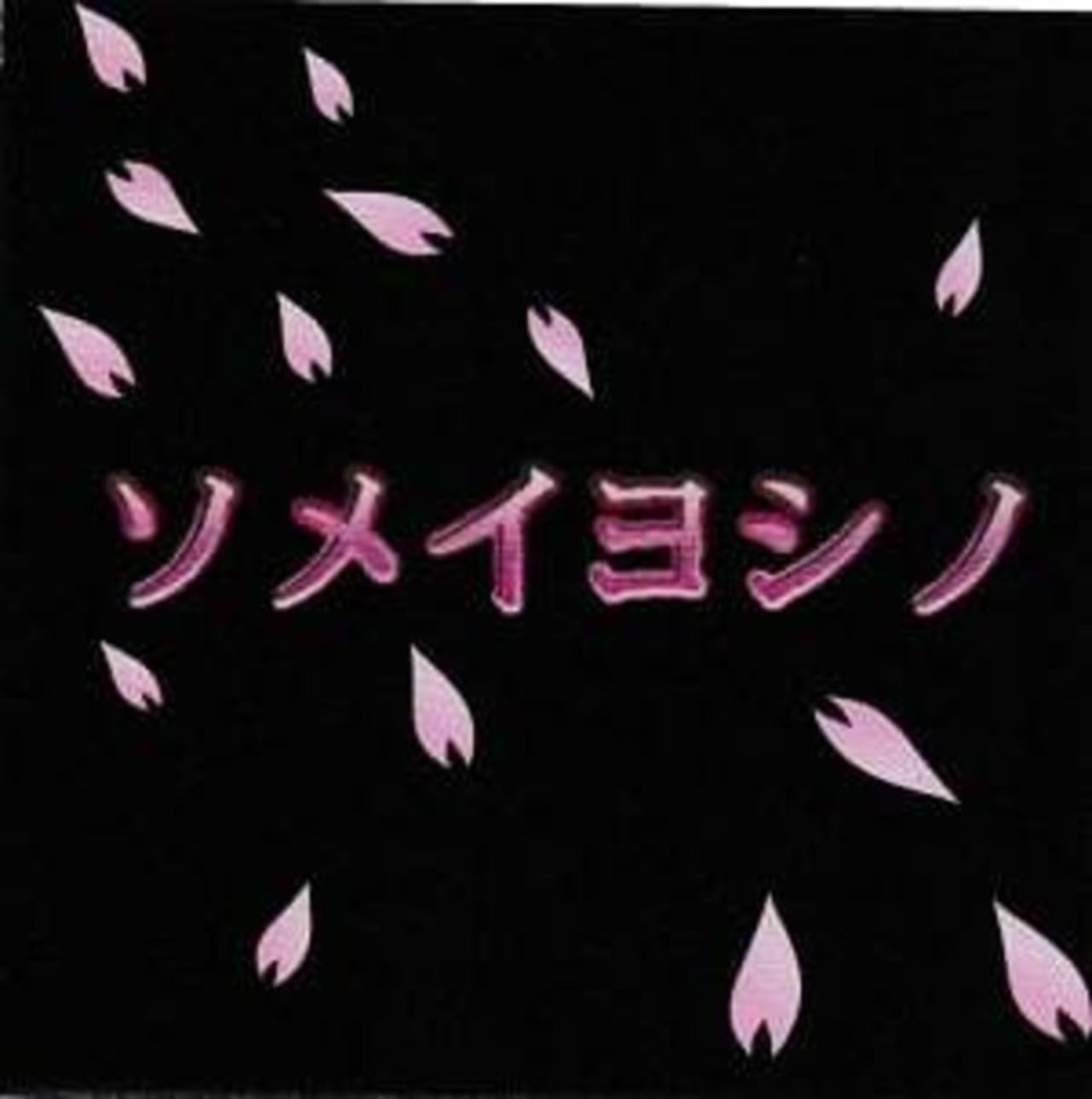 The Birthday/涙がこぼれそう | RECORD SHOP CONQUEST/レコード