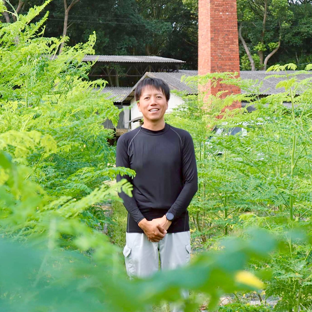 MITOYO MORINGA 香川県産バージンモリンガ100%顆粒スティック（30本入