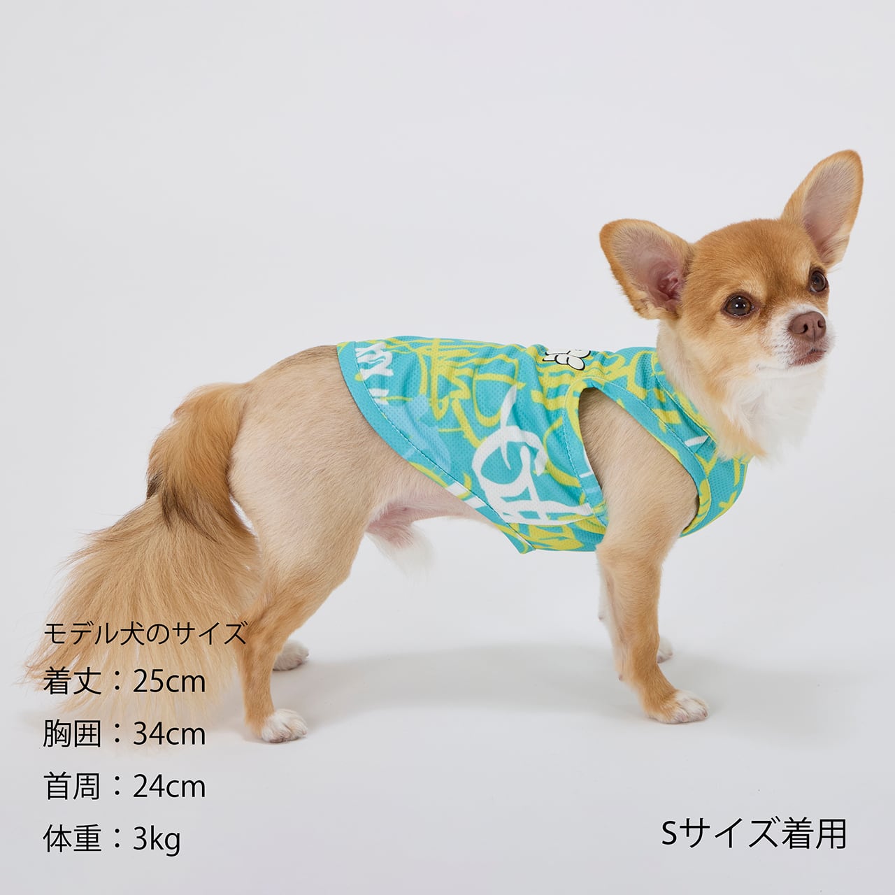 まりんさん専用 CCL COOLING TANK（XS.S） CCLクーリングタンク | MANDARINE BROTHERS