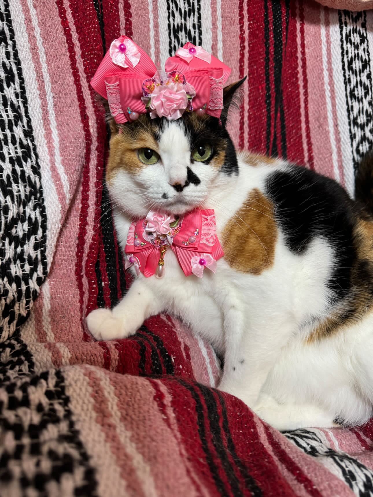 レースとお花のチョーカー】レギュラーサイズ 犬猫チョーカー リボン