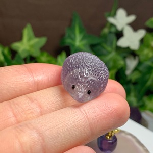 1.フローライトハリネズミさんの住処・~ハリーさんの休憩所~