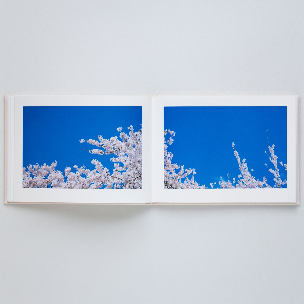 【サイン入】蜷川実花: VIRA [Sky Edition] 蜷川実花: VIRA (signed)【表紙：SKY Edition】 - BOOK OF DAYS ONLINE